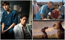 Netflix está a punto de actualizar su catalogo con el fin de mayo