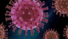 Diariamente se buscan opciones a nivel mundial para evitar el contagio del coronavirus.