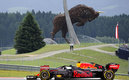 El Toro característico del circuito Red Bull Ring.