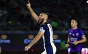 Nico Sánchez reforzará la zaga de Gallos