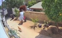 Mujer enfrenta a un oso por salvar a sus perros. (Foto: captura de pantalla)