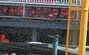 Las abejas invadieron parte del diamante. Foto: Twitter Pericos de Puebla