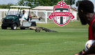 Un cocodrilo detuvo el entrenamiento del equipo de la MLS. (IG @TorontoFC)