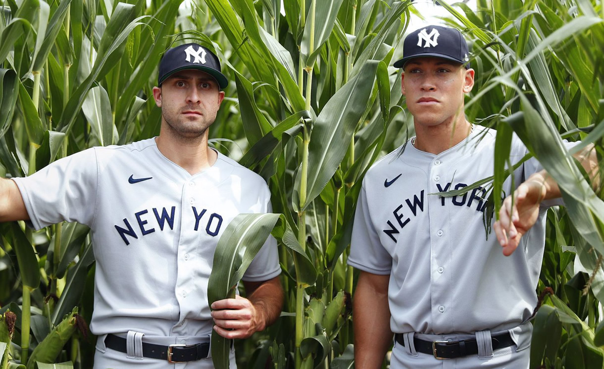 Joey Gallo y Aaron Judge entre el maíz