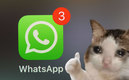 Los stickers de WhatsApp llegaron para quedarse.