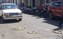Así luce la calle con los cocos. (Milenio)