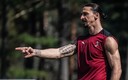Stefano Pioli confirmó que Zlatan regresará hasta mediados de septiembre (Twitter @Ibra_official)