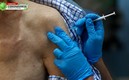 El mundo científico sigue combatiendo a la covid-19. FOTO: AFP.