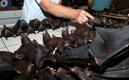 Un comerciante vende murciélagos en Indonesia. (FOTO: AFP)