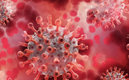La OMS continua con las investigaciones de esta nueva mutación de coronavirus.