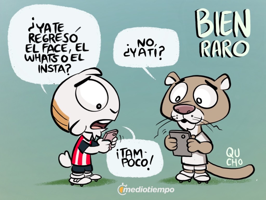 ¡Bien raro! A Pumas y Chivas no les regresan las redes