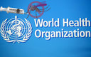 La vacuna contra malaria recomendada por la OMS es para los niños. (Reuters | Google)