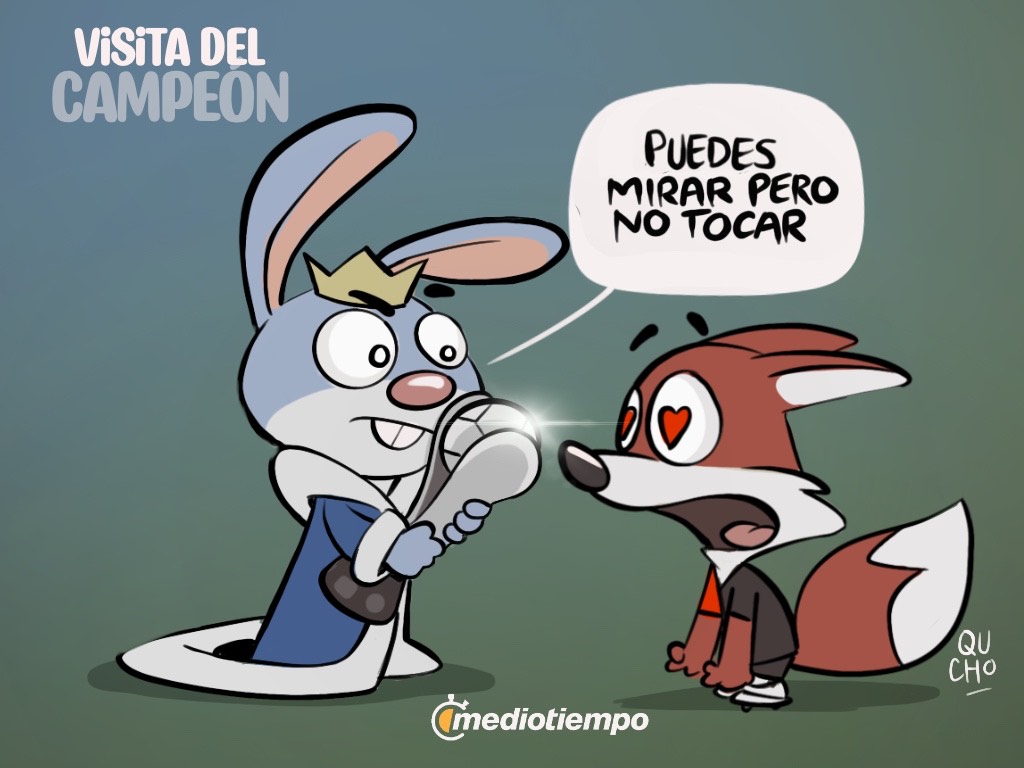 ¡Ver pero no tocar!