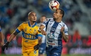 Tigres busca instalarse en lugares de clasificación directa. (Foto: Mexsport)