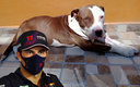 La gorra de Checo Pérez se rifará con costo de 50 pesos por boleto para ayudar al perrito. (Facebook | AFP)
