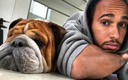 El piloto de Mercedes podría pagar una multa e ir a la cárcel por hacer a su perro vegano. (Foto: @lewishamilton)