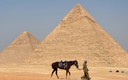 Las fuertes lluvias en Egipto han provocado que los escorpiones dejen sus nidos (AFP)