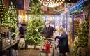 La familia colocó las luces navideñas el 6 de noviembre. (FOTO: AFP)