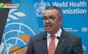 Tedros Adhanom Ghebreyesus pidió evitar la desigualdad en la distribución de las vacunas. FOTO: AFP.