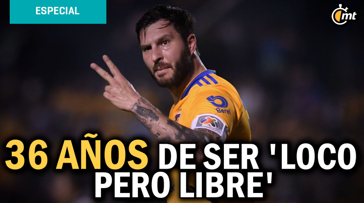 Gignac rendirá en Tigres los dos años de contrato: Mateo Bravo