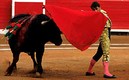 Las corridas de toros buscan ser prohibidas en la Ciudad de México. (Mexsport)