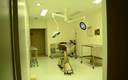 El Hospital Veterinario de la CDMX está abierto las 24 horas de lunes a viernes (Sedema)