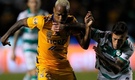 El partido se había reprogramado por los casos de covid-19 en Tigres. (Foto: Liga MX)