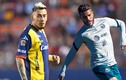 Los equipos de la Liga MX apostaron por integrar jugadores como agentes libres (Imago7 | @ClubAmerica)