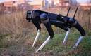 Perros robot vigilarán la frontera de Estados Unidos con México (Foto EFE)