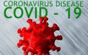 Una molécula es capaz de bloquear la entrada del Covid-19 (Reuters)