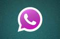 WhatsApp con logo en color rosa (Foto: La Fm)