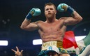 Canelo Álvarez odría enfrentarse a Bivol y Golovkin. (MexSport)