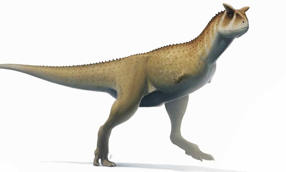 Nueva especie de abelisaurio, Guemesia ochoai (Foto: Natural History Museum)