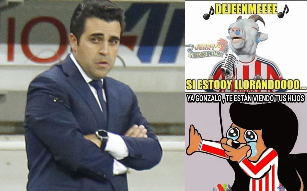 Las redes se inundaron de burlas al Rebaño.