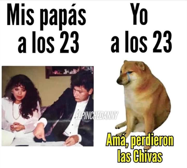 Meme prueba