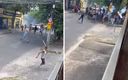 Las barras del Mineiro y Cruzeiro se enfrentaron con palos y piedras. (Capturas)