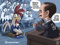 Gallos malos