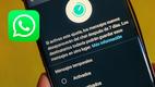 Significado de la letra “i” al lado de los mensajes de WhatsApp: (Foto: WhatsApp)