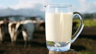 Jarra de leche (Foto: El Español)