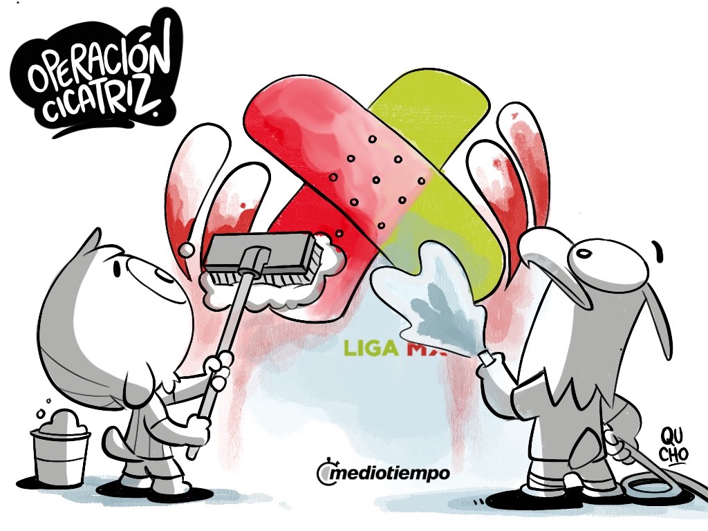 Operación cicatriz