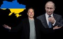 Elon Musk retó a Putin a un combate para "decidir quién se queda con Ucrania". (AFP | Google)