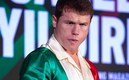 Canelo Álvarez solamente ha perdido una pelea en su carrera profesional. (Mexsport)