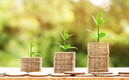Así puedes consultar en qué Afore estás. (FOTO: Pixabay)