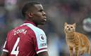Kurt Zouma fue multado por  golpear a un gato (AFP | Google)
