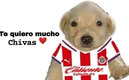 Las Chivas ganaron en el Azteca | Cortesía