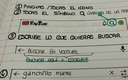 El manual cuenta con 11 páginas (Twitter @maia_ppz)