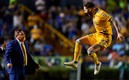 Gignac es el actual líder de goleo. (Foto: Mexsport)