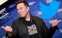 Elon Musk compró Twitter por la descomunal cifra de 44 mil millones de dólares. (AFP)