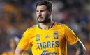 Gignac es el actual líder goleador de la Liga MX. (Foto: Mexsport)