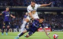 Los Pumas buscarán coronarse en suelo estadounidense. FOTO: Imago7.